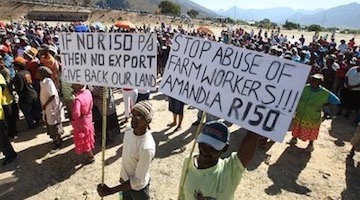 Rural Workers Mobilized in South African General Strike