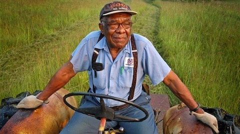“Rampant Issues”: Black Farmers are Still Left Out at USDA