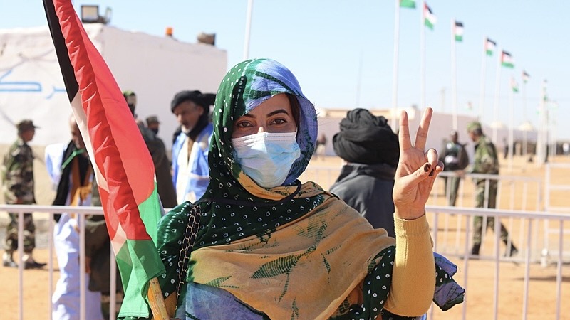 Direct from Western Sahara: Learn About the Struggle of the Last Colony in Africa