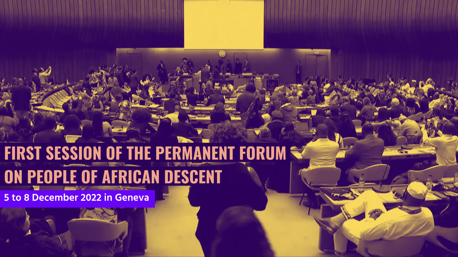 The Balanta Mandate and the UN's Permanent Forum on People of African Descent (PFPAD) 