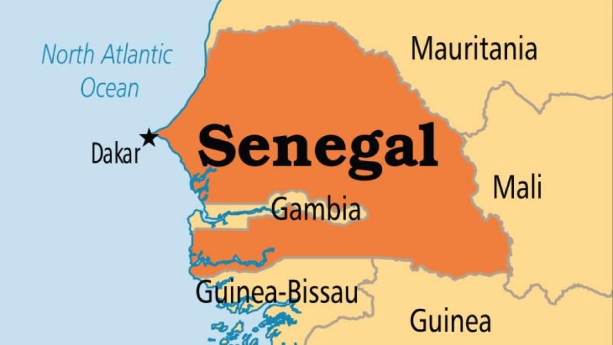 A Deadly Fight: Senegal’s Political Crisis Escalates After Repression of Protesters