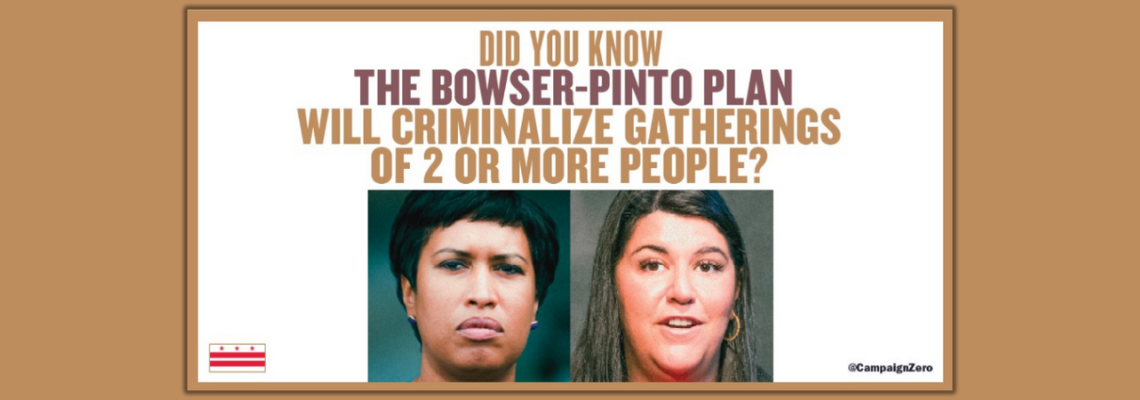 Bowser Pinto plan