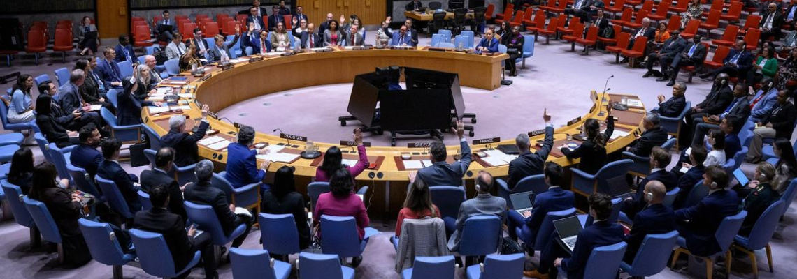 UNSC session