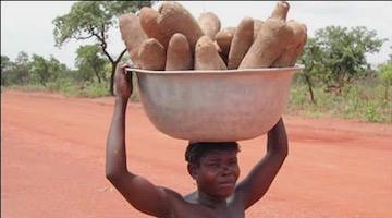 The Difference Between Yams and Sweet Potatoes Is Structural Racism 