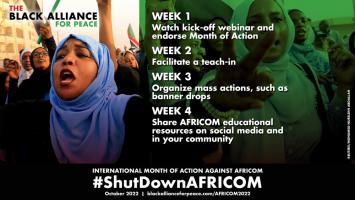 AFRICOM Watch Bulletin #42